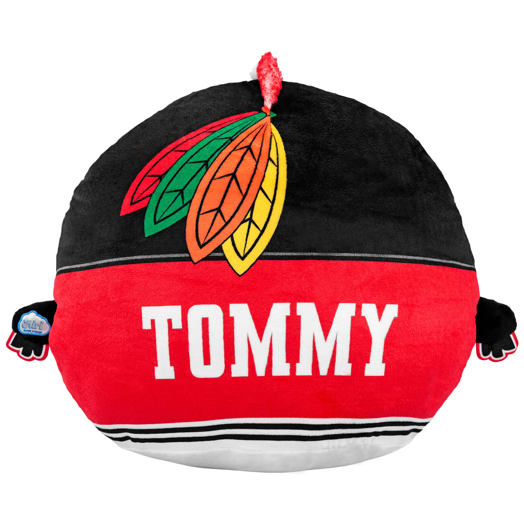 Chicago Blackhawks Tommy Hawk Kiri Plush Pillow - Image 3