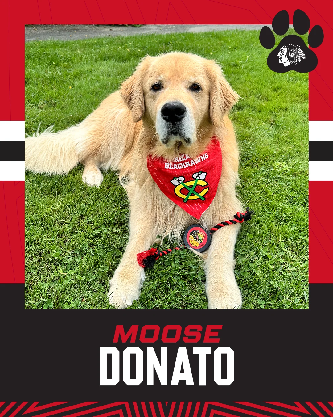 Chicago Blackhawks Pet Puck Rope Toy - Image 3
