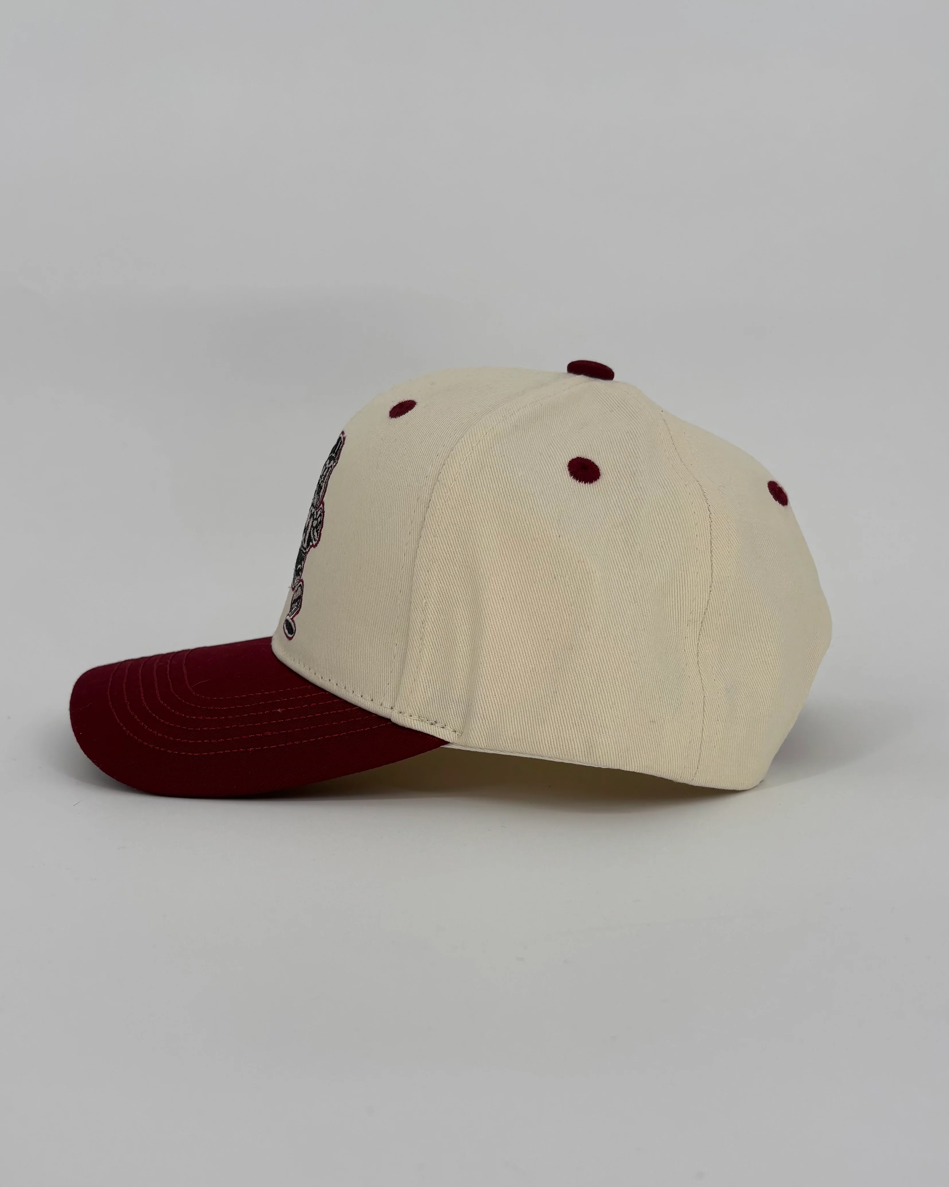 Rockford IceHogs Tellado Local Artist Hat - Image 3
